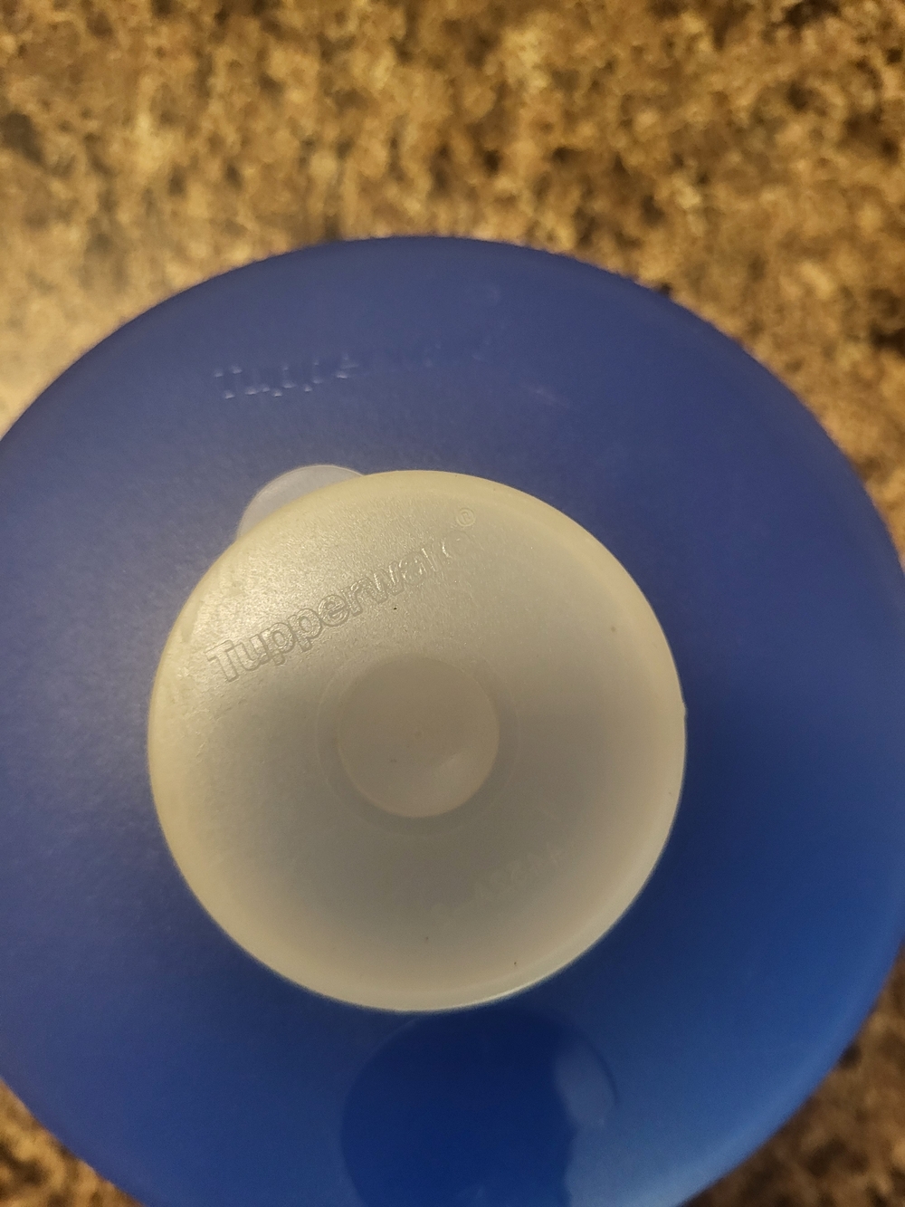 Tupperware Bagel Container